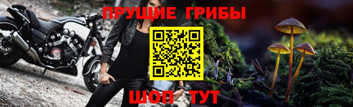 Арсеньев  Галлюциногенные грибы Psilocybe  Вход с VPN  Галлюциногенные грибы GOLDEN TEACHER 